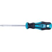EXTOL PREMIUM ŠROUBOVÁK TORX, TTA25X100MM, CRV, 8819247 - ŠROUBOVÁKY TORX{% if kategorie.adresa_nazvy[0] != zbozi.kategorie.nazev %} - RUČNÍ NÁŘADÍ{% endif %}