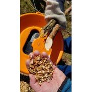 SHARK 2,2 KW - DRTIČ VĚTVÍ A ZAHRADNÍHO ODPADU - DRTIČ S ELEKTRICKÝM MOTOREM - ZAHRADA