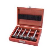 EXTOL PREMIUM FRÉZY-SUKOVNÍKY DO DŘEVA, SADA 5KS S SK PLÁTKY, O 15-20-25-30-35MM, STOPKA 8-10MM, 8802030 - SUKOVNÍKY{% if kategorie.adresa_nazvy[0] != zbozi.kategorie.nazev %} - PŘÍSLUŠENSTVÍ{% endif %}