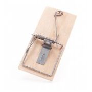 PAST NA MYŠI DŘEVĚNÁ - PŘEKLIŽKA, 1KS 4,5X10CM - PAST NA MYŠI A HLODAVCE - DŮM A DOMÁCNOST, ELEKTRO..