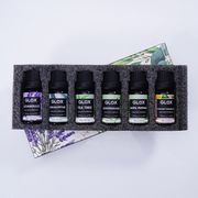 GLOX GLOXAO1 SADA 6KS AROMA OLEJŮ - AROMADIFUZÉRY - DŮM A DOMÁCNOST, ELEKTRO..