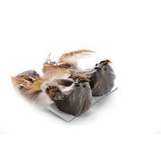 PTÁČÁTKA SE SKŘIPCEM MAGICHOME, HNĚDÉ, 15X5X5CM/PÁR/ - VÁNOČNÍ DEKORACE{% if kategorie.adresa_nazvy[0] != zbozi.kategorie.nazev %} - DŮM A DOMÁCNOST, ELEKTRO..{% endif %}