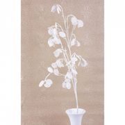 VĚTVIČKA MONEYPLANT.WHITE, BÍLÁ, 56/107CM - VÁNOČNÍ DEKORACE - DŮM A DOMÁCNOST, ELEKTRO..