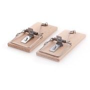 PAST NA MYŠI DŘEVĚNÁ - PŘEKLIŽKA, 1KS 4,5X10CM - PAST NA MYŠI A HLODAVCE - DŮM A DOMÁCNOST, ELEKTRO..