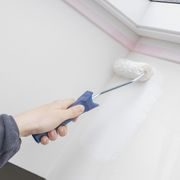 PREMION THEMAP036 VÁLEČEK MALÍŘSKÝ POLYESTER 100MM 10KS - MALÍŘSKÉ POMŮCKY - DŮM A DOMÁCNOST, ELEKTRO..