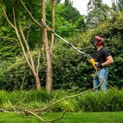 POWERPLUS POWXG1033 TELESKOPICKÁ PROŘEZÁVACÍ EL. PILA 750W - 250MM - PROŘEZÁVACÍ PILY - ZAHRADA