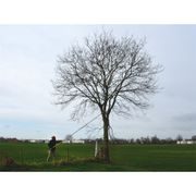 SILKY HAYATE 5000-6.5 TELESKOPICKÁ PILA - PILY A PILOVÉ LISTY SILKY - ZAHRADA