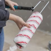 PREMION THEMAP024 VÁLEČEK MALÍŘSKÝ 250MM 2KS - MALÍŘSKÉ POMŮCKY - DŮM A DOMÁCNOST, ELEKTRO..