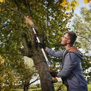 RIWALL PRO PRODLUŽOVACÍ TELESKOPICKÝ NÁSTAVEC PRO RAHS 1820I - PROŘEZÁVACÍ PILY - ZAHRADA
