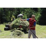 POHONNÁ JEDNOTKA PANTER FD3ECO S VALNÍKEM IT 500 PROFI - PARTNER - SESTAVY - ZAHRADA