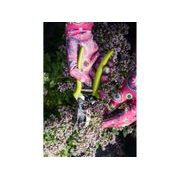 EXTOL LADY RUKAVICE ZAHRADNÍ POLYESTEROVÉ, POLOMÁČENÉ V NITRILU, VELIKOST 7", 8856669 - PRACOVNÍ RUKAVICE - PŘÍSLUŠENSTVÍ