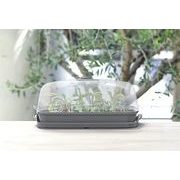 SADBOVAČ RESPANA TABLE GREENHOUSE BÍLÝ 39,1CM - PAŘENIŠTĚ A SADBOVAČE - ZAHRADA