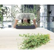 SADBOVAČ RESPANA TABLE GREENHOUSE BÍLÝ 39,1CM - PAŘENIŠTĚ A SADBOVAČE - ZAHRADA