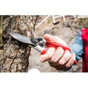 EXTOL PREMIUM NŮŽKY ZAHRADNICKÉ, 215MM, SK5, 8872102 - ZAHRADNÍ NŮŽKY - ZAHRADA