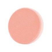 EXTOL PREMIUM KOTOUČ LEŠTÍCÍ PĚNOVÝ, T40, ORANŽOVÝ, ⌀180X30MM, SUCHÝ ZIP ⌀150MM, 8804504 - PRO LEŠTIČKY - PŘÍSLUŠENSTVÍ