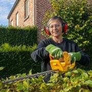 POWERPLUS POWEG20071 ELEKTRICKÝ PLOTOSTŘIH 500W - 550MM - ELEKTRICKÝ PLOTOSTŘIH - ZAHRADA