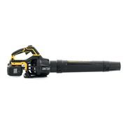 RIWALL PRO RABL 3220I SET AKU FOUKAČ 2 X 20 V + 2X 4 AH BATERIE + DUÁLNÍ RYCHLONABÍJEČKA 4,5 A - AKU VYSAVAČ LISTÍ - ZAHRADA