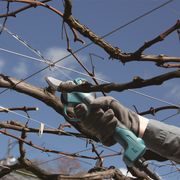 MAKITA DUP180Z - AKU NŮŽKY NA VINNOU RÉVU LI-ION LXT 18V, BEZ AKU Z - AKU NŮŽKY NA VĚTVE - ZAHRADA