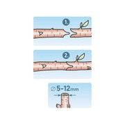 EXTOL PREMIUM NŮŽKY ROUBOVACÍ, 215MM, SK5, 8872165 - ZAHRADNÍ NŮŽKY - ZAHRADA