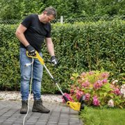 POWERPLUS POWXG30031 ELEKTRICKÝ VYŽÍNAČ 450W - 300MM 2X STRUNA - ELEKTRICKÉ STRUNOVÉ SEKAČKY - ZAHRADA