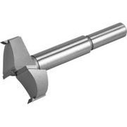 EXTOL PREMIUM FRÉZA ČELNÍ-SUKOVNÍK DO DŘEVA S SK PLÁTKY, O 40MM STOPKA 10MM, 8802025 - SUKOVNÍKY{% if kategorie.adresa_nazvy[0] != zbozi.kategorie.nazev %} - PŘÍSLUŠENSTVÍ{% endif %}