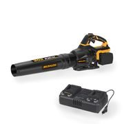 RIWALL PRO RABL 3220I SET AKU FOUKAČ 2 X 20 V + 2X 4 AH BATERIE + DUÁLNÍ RYCHLONABÍJEČKA 4,5 A - AKU VYSAVAČ LISTÍ{% if kategorie.adresa_nazvy[0] != zbozi.kategorie.nazev %} - ZAHRADA{% endif %}