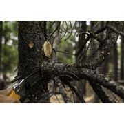 SILKY POCKETBOY CURVE 130-8 SKLÁDACÍ PILA - PILY A PILOVÉ LISTY SILKY - ZAHRADA