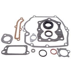 sada těsnění motoru 590508 /Briggs 794307