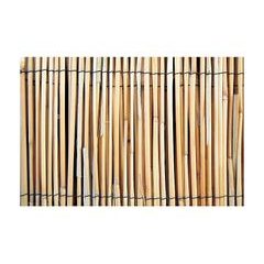 Plot rákos, 2000mm, L-5 m, obyčejný, bag