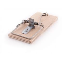 Past na myši dřevěná - překližka, 1ks 4,5x10cm