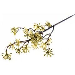 Větvička Sedum.Gold, zlatá, 14/30cm