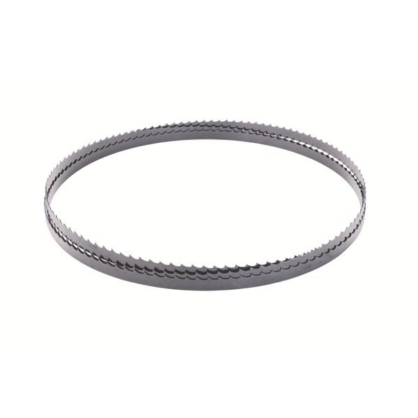 SCHEPPACH PILOVÝ PÁS (1400 X 6,4 X 0,35 MM, 6 TPI) PRO HBS 25 / HBS 20 / HBS 30 - PILOVÉ PÁSY{% if zbozi.kategorie.adresa_nazvy[0] != zbozi.kategorie.nazev %} - PŘÍSLUŠENSTVÍ{% endif %}