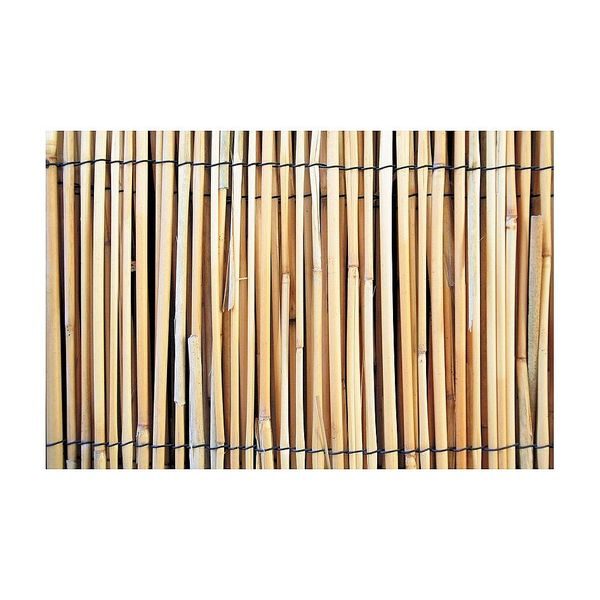 PLOT RÁKOS, 1000MM, L-5M, OBYČEJNÝ, BAG - ZAHRADNÍ TEXTILIE, TKANINY{% if zbozi.kategorie.adresa_nazvy[0] != zbozi.kategorie.nazev %} - ZAHRADA{% endif %}