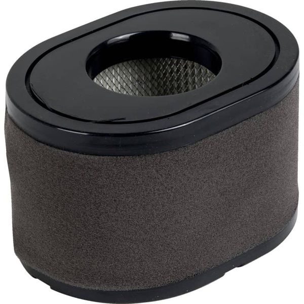 AL-KO 418110 ND-VZDUCHOVÝ FILTR LONCIN 700 - 2 ZYL. - ND AL-KO{% if zbozi.kategorie.adresa_nazvy[0] != zbozi.kategorie.nazev %} - NÁHRADNÍ DÍLY{% endif %}