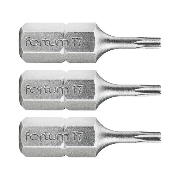 FORTUM HROT TORX, SADA 3KS, T 7X25MM, S2, 4741407 - STANDARDNÍ BITY TORX{% if zbozi.kategorie.adresa_nazvy[0] != zbozi.kategorie.nazev %} - PŘÍSLUŠENSTVÍ{% endif %}