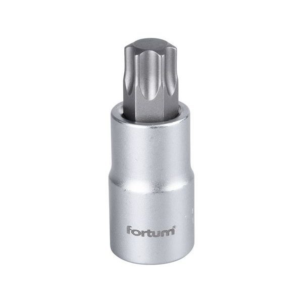 FORTUM HLAVICE ZÁSTRČNÁ 1/2" HROT TORX, T60, L 55MM, 4700728 - ZÁSTRČNÉ HLAVICE{% if zbozi.kategorie.adresa_nazvy[0] != zbozi.kategorie.nazev %} - RUČNÍ NÁŘADÍ{% endif %}