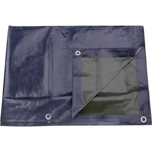 EXTOL PREMIUM PLACHTA PE NEPROMOKAVÁ SILNÁ 150G/M2, 2X8M, PE, 14109 - SILNÉ 150 G/M2{% if zbozi.kategorie.adresa_nazvy[0] != zbozi.kategorie.nazev %} - DÍLNA A GARÁŽ{% endif %}