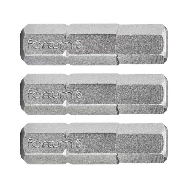 FORTUM HROT IMBUS SADA 3KS, H 5X25MM, S2, 4741506 - IMBUS HROTY 1/4{% if zbozi.kategorie.adresa_nazvy[0] != zbozi.kategorie.nazev %} - PŘÍSLUŠENSTVÍ{% endif %}