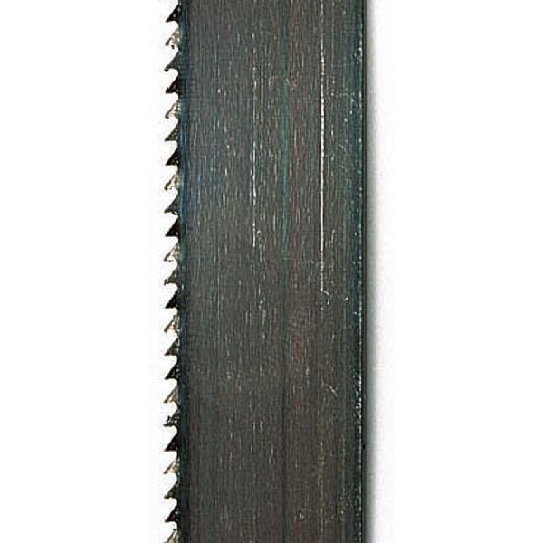 SCHEPPACH PILOVÝ PÁS 6/0,36/1490MM, 24 Z/´´, POUŽITÍ PRO NEŽELEZNÉ KOVY DO TL. 10MM PRO BASATO/BASA 1 - PILOVÉ PÁSY{% if zbozi.kategorie.adresa_nazvy[0] != zbozi.kategorie.nazev %} - PŘÍSLUŠENSTVÍ{% endif %}