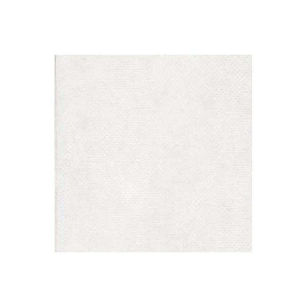 TEXTILIE NETKANÁ BÍLÁ, 17G/M2, 1,6X50M - ZAHRADNÍ TEXTILIE, TKANINY{% if zbozi.kategorie.adresa_nazvy[0] != zbozi.kategorie.nazev %} - ZAHRADA{% endif %}