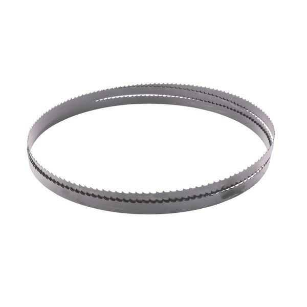 SCHEPPACH PILOVÝ PÁS (1790 X 10 X 0,35 MM, 6 TPI) PRO HBS 261 - ND GARLAND{% if zbozi.kategorie.adresa_nazvy[0] != zbozi.kategorie.nazev %} - NÁHRADNÍ DÍLY{% endif %}