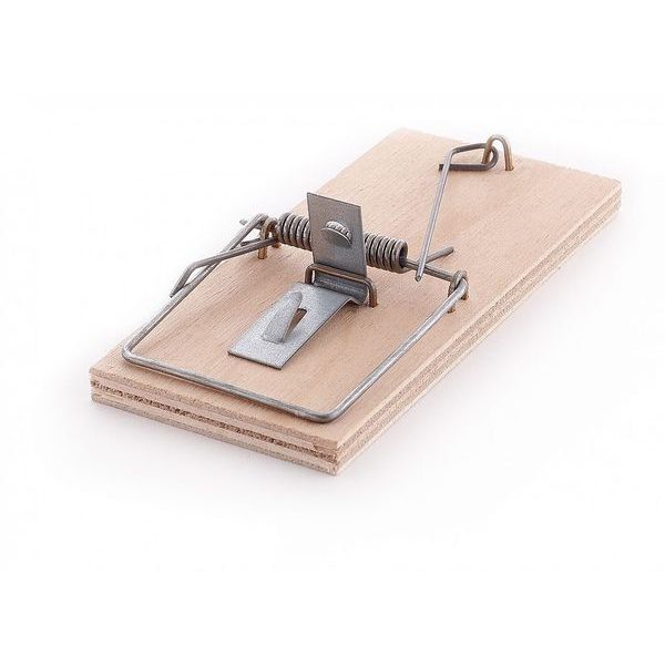 PAST NA MYŠI DŘEVĚNÁ - PŘEKLIŽKA, 1KS 4,5X10CM - PAST NA MYŠI A HLODAVCE{% if zbozi.kategorie.adresa_nazvy[0] != zbozi.kategorie.nazev %} - DŮM A DOMÁCNOST, ELEKTRO..{% endif %}