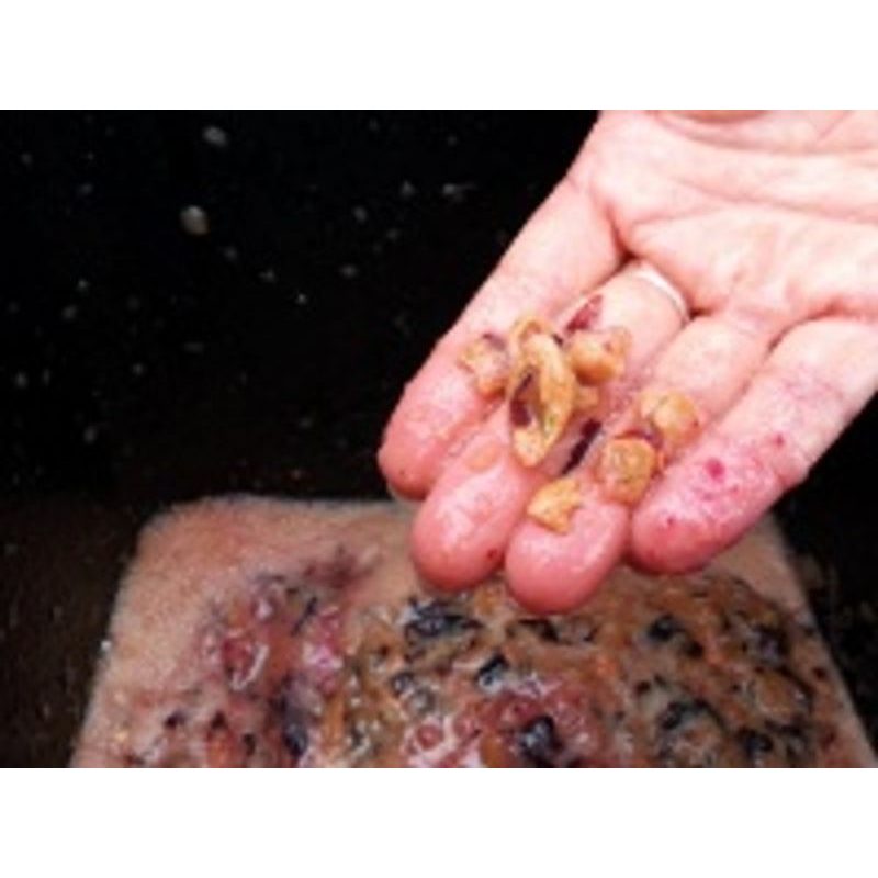 FRUIT SHARK MEGALODON - DRTIČ OVOCE - DRTIČE A LISY NA OVOCE - ZAHRADA