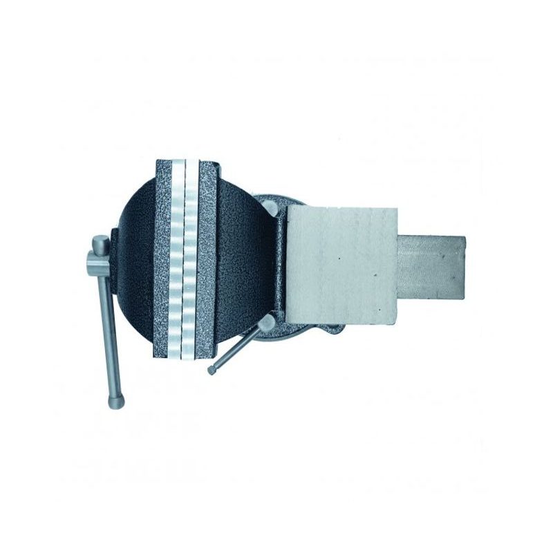 SVĚRÁK S KOVADLINOU PROCRAFT PBV150 | PBV150 PROCRAFT - SVĚRÁKY - DÍLNA A GARÁŽ