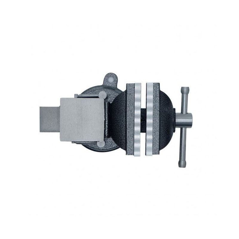 SVĚRÁK S KOVADLINOU PROCRAFT PBV100 | PBV100 PROCRAFT - SVĚRÁKY - DÍLNA A GARÁŽ