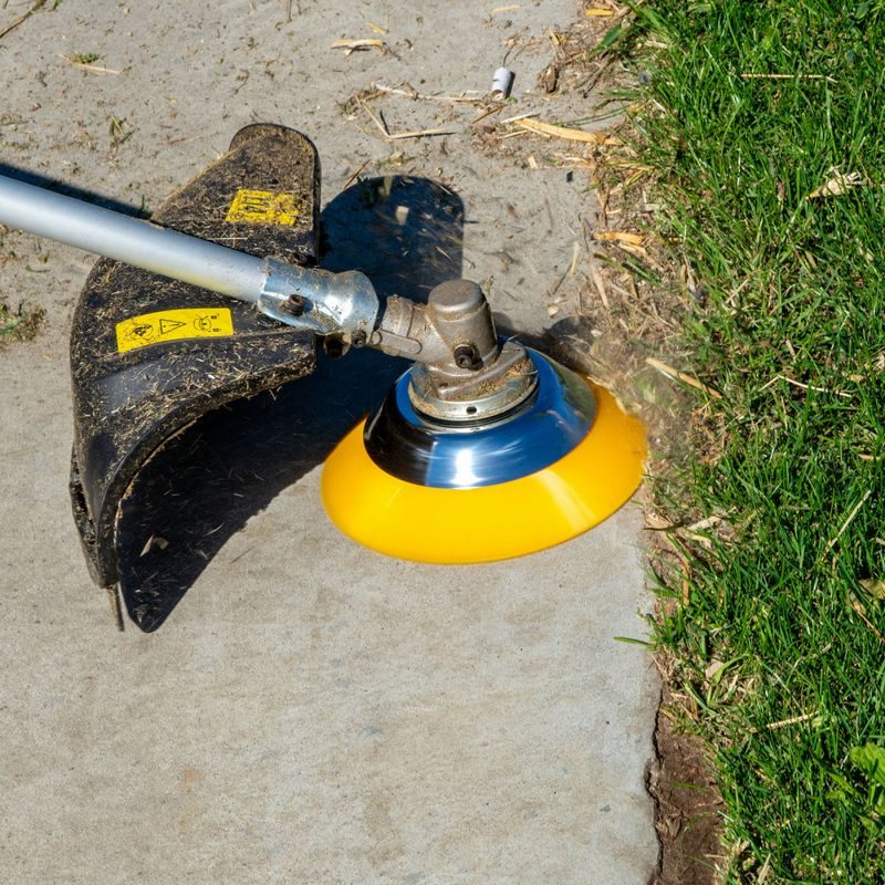 POWERPLUS POWACG3522 ČISTÍCÍ KOTOUČ PRO KŘOVINOŘEZY 200MM NYLON - PRO KŘOVINOŘEZY, STRUNOVÉ SEKAČKY - ZAHRADA