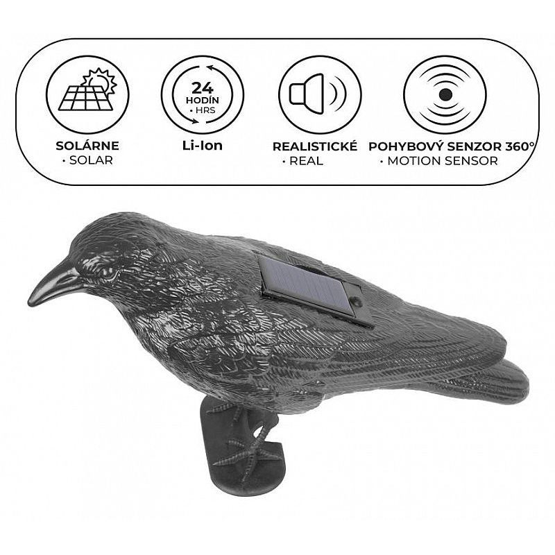 PLAŠIČ PTÁKŮ HAVRAN ČERNÝ, SOLÁRNÍ - PAST NA MYŠI A HLODAVCE - DŮM A DOMÁCNOST, ELEKTRO..