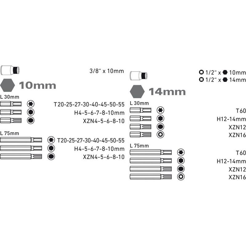 EXTOL PREMIUM HROTY IMBUS-TORX-XZN, SADA 51KS, PRO RÁČNY 3/8", 1/2", S2, 8818200 - GOLA SADY - RUČNÍ NÁŘADÍ