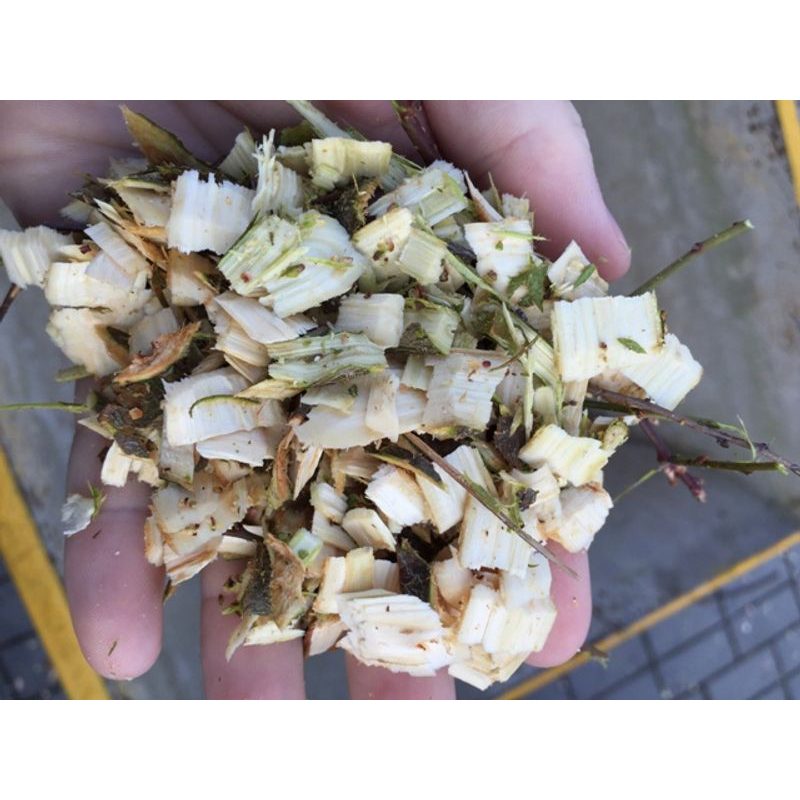 ELEKTRICKÝ ŠTĚPKOVAČ DŘEVA RAMBO HC10E - DRTIČ S BENZÍNOVÝM MOTOREM - ZAHRADA