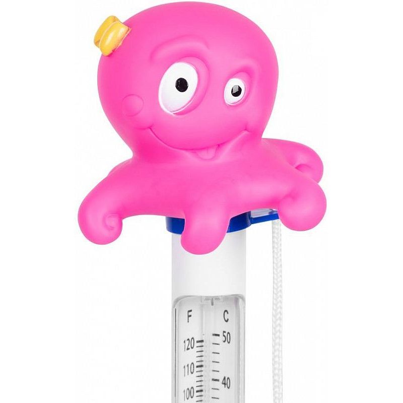 TEPLOMĚR BAZÉNOVÝ, CHOBOTNIČKA - BAZÉNOVÉ PŘÍSLUŠENSTVÍ A CHEMIE - ZAHRADA